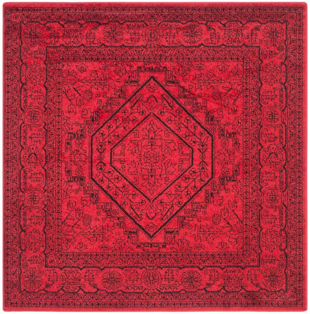 Adirondack Antique Red/Black Area Rug