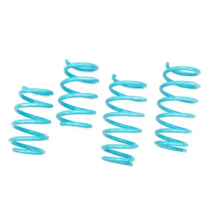 GodSpeed Traction S Lowering Springs Ford Edge (07-14) LS-TS-FD-0013
