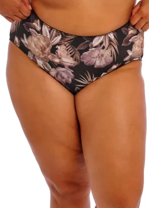 Kayla Brief