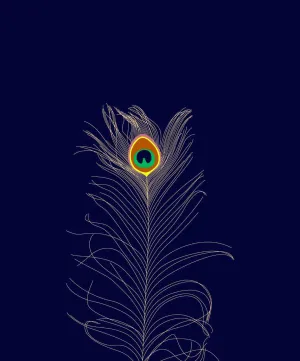 Minimalist Art - Peacock Feather - Framed Prints